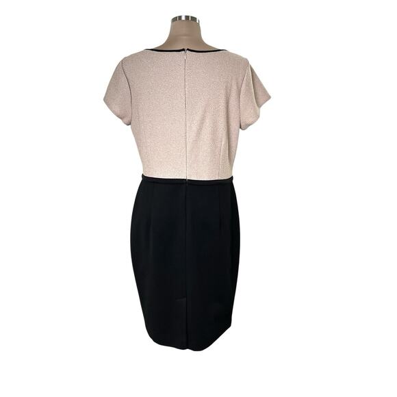 Ann Taylor Factory Dress Size 12 Short Sleeve Knee Length Black Cream Casual - Picture 2 of 8